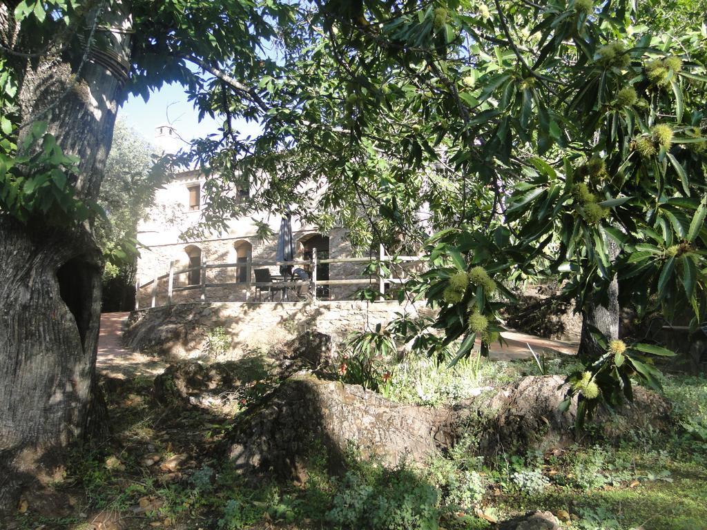 Finca La Colora Fuenteheridos Eksteriør bilde